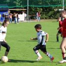 IMG_8950.JPG